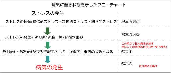 病気に至る状態を示したフローチャート