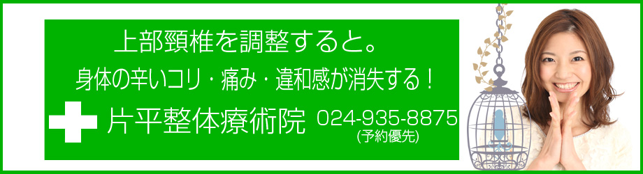 片平整体療術院